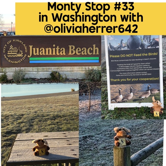 MONTY MOOSE TRACKING!     Where in the Posh Universe is Monty Moose? - Picture 2 of 15